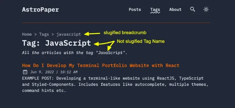 Unslugified Tag Names