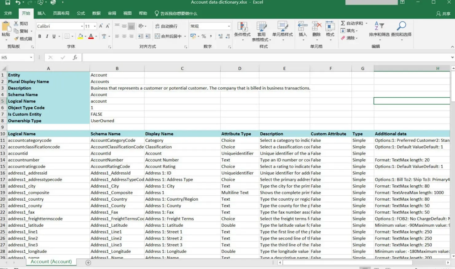 Generated Customer Entity Data Dictionary (Excel)