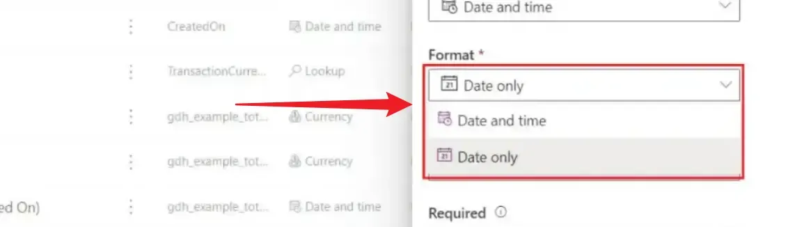 选择日期和时间字段的 “格式”