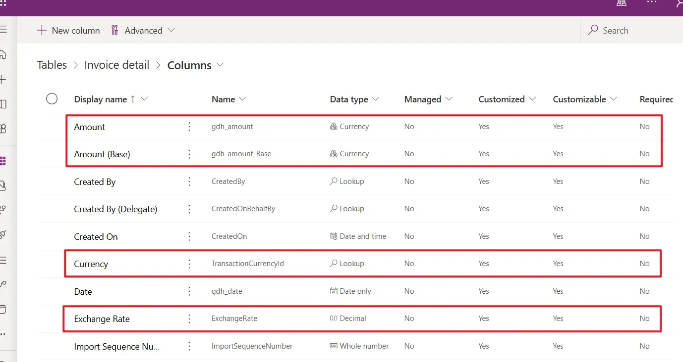 Invoice Detail实体新添的Amount货币字段