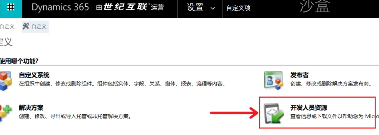选择自定义项