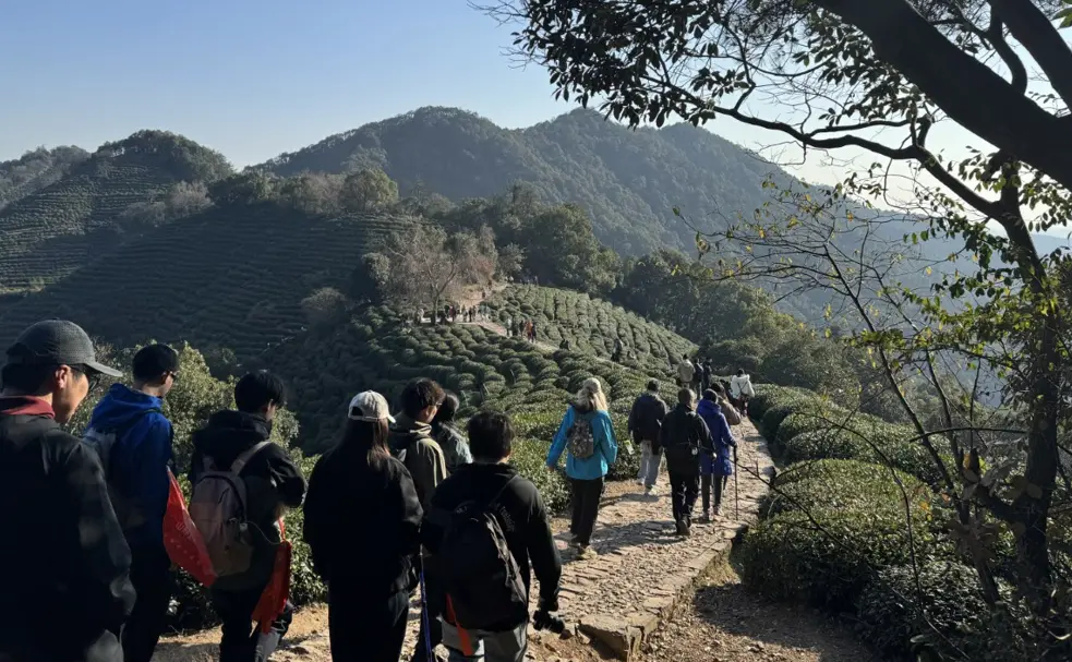 石板路