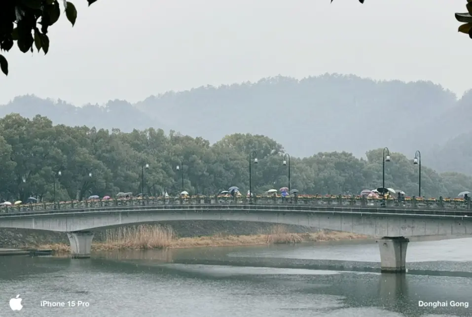 武岭西路步行街溜达1